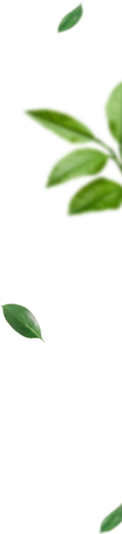 leaves-02